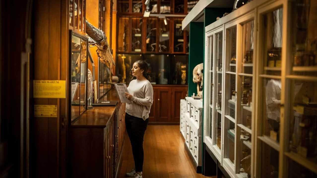 Specimen cases in a Victorian university museum